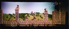Load image into Gallery viewer, Once Upon a Mattress Design Pak