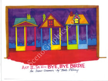 Load image into Gallery viewer, Bye Birdie Design Pak© Musical