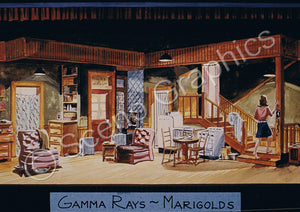 The Effects of Gamma Rays on Man-in-the-Moon Marigolds Design Pak©